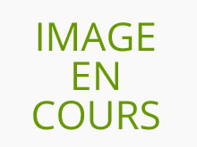 ESTHEGIS